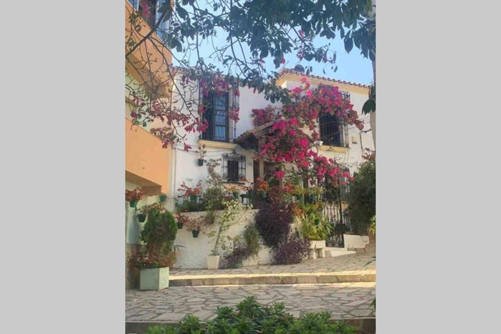 Appartement Palmeras Puerto Paraiso 埃斯特波纳 外观 照片
